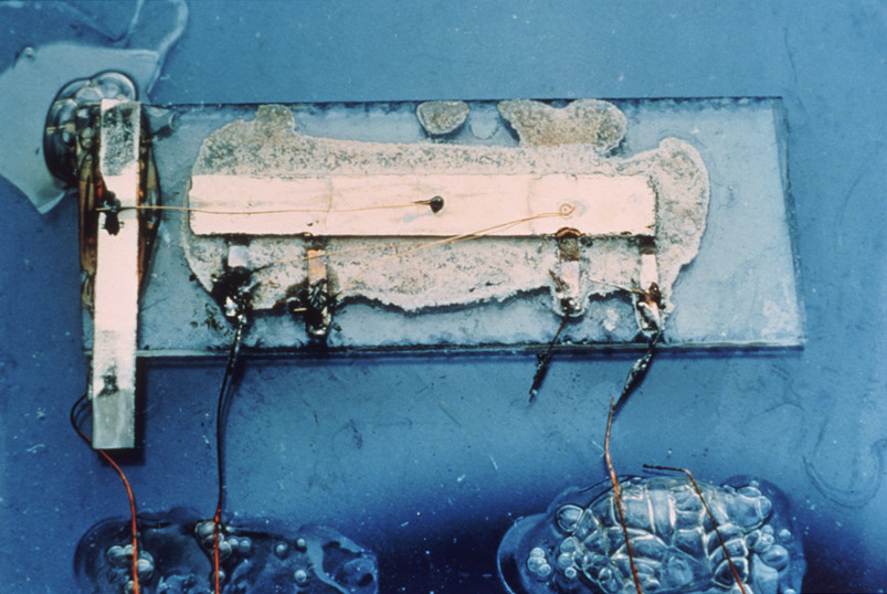 Het eerste Integrated Circuit (Foto met complimenten van Texas Instruments)